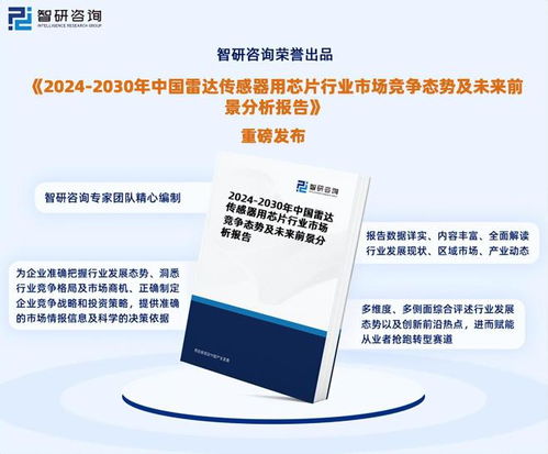 2024年中國雷達(dá)傳感器用芯片行業(yè)市場全景調(diào)查及投資前景研究報(bào)告
